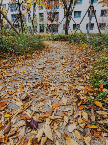 a path in a park off the side of a fall
