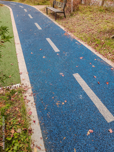 a track in a park