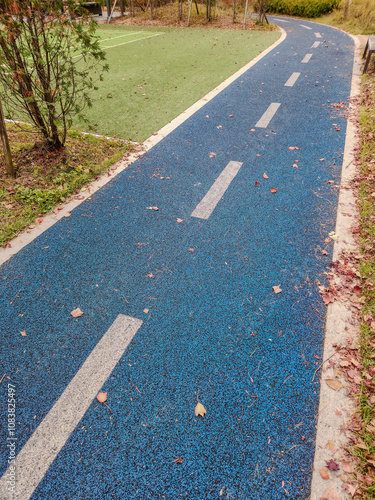 a track in a park