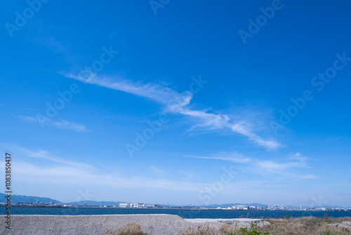 夏の空と海
