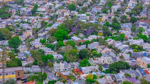 Aerial drone view over Sydney inner suburb of Glebe and Annandale close to Sydney Harbour NSW Australia beautiful colourful roof and tree lined streets green orange purple photo