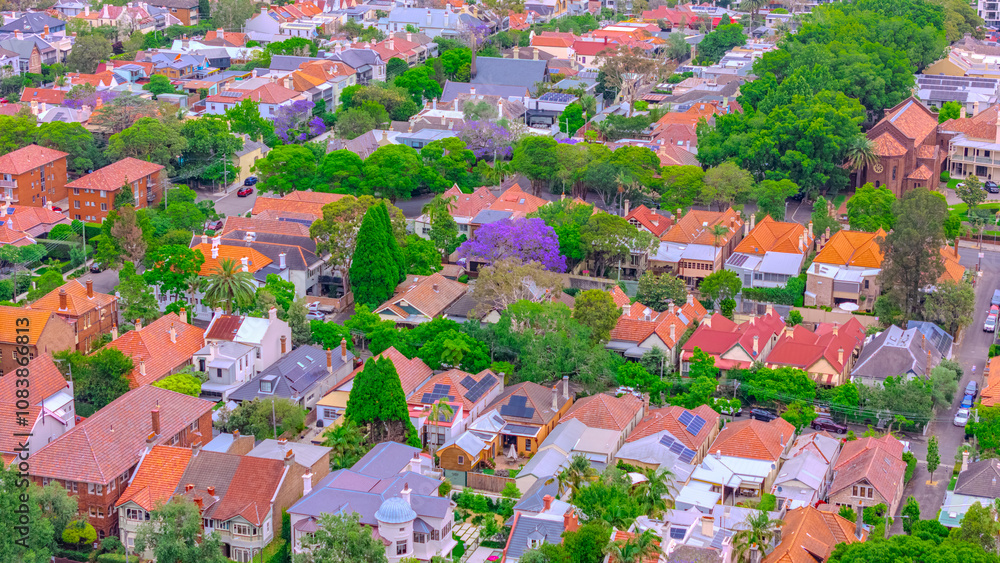 Naklejka premium Aerial drone view over Sydney inner suburb of Glebe and Annandale close to Sydney Harbour NSW Australia beautiful colourful roof and tree lined streets green orange purple