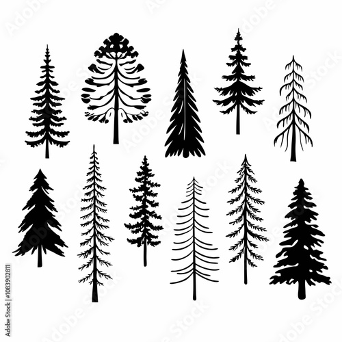 Silhouettes of Pine and Spruce Trees, Christmas Tree Silhouette - Pine and Spruce in Black and White Minimalist Design,