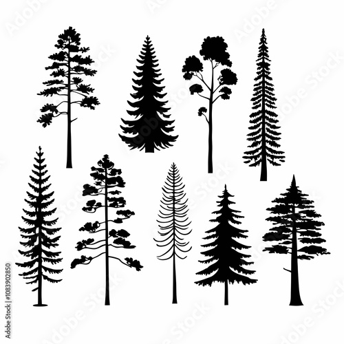 Silhouettes of Pine and Spruce Trees, Christmas Tree Silhouette - Pine and Spruce in Black and White Minimalist Design,