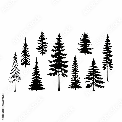 Silhouettes of Pine and Spruce Trees, Christmas Tree Silhouette - Pine and Spruce in Black and White Minimalist Design,