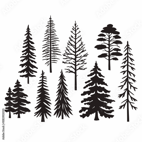 Silhouettes of Pine and Spruce Trees, Christmas Tree Silhouette - Pine and Spruce in Black and White Minimalist Design,