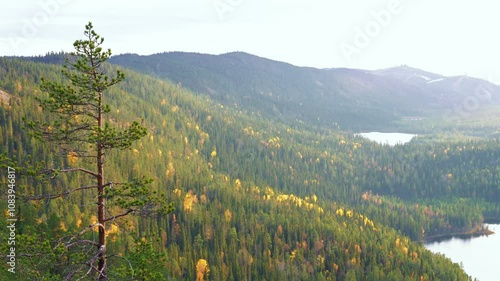 Autumn landscape of Valtavaara hill in Kuusamo, Finland. photo