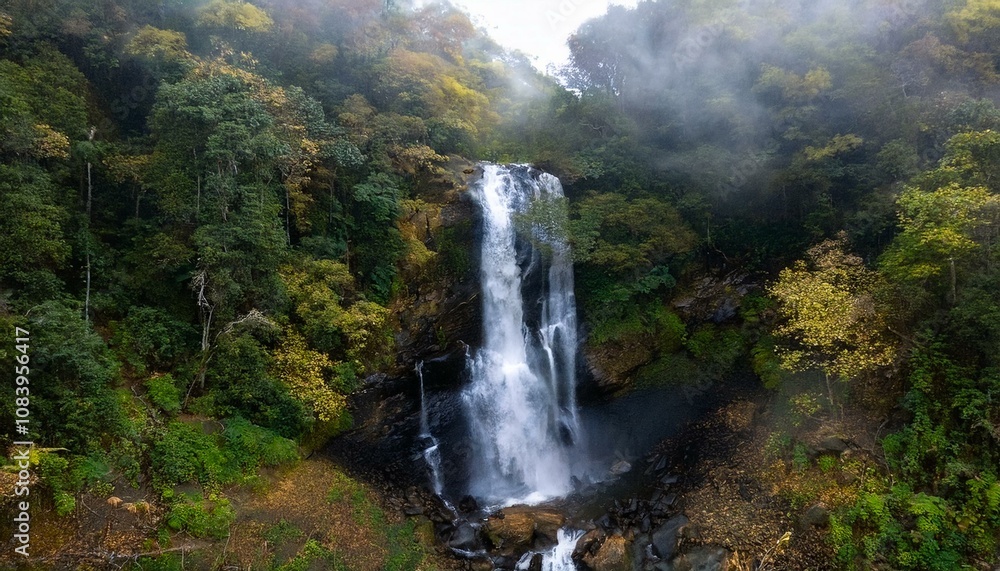 Fototapeta premium Cascada en medio de un bosque, vista aerea