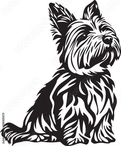 silhouette of yorkshire terrier dog photo