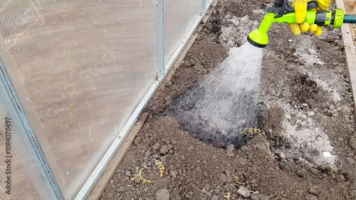 A hand in a yellow rubber glove waters the beds in the greenhouse with a hose with a sprinkler, preparing the soil for planting vegetables, 4k video photo