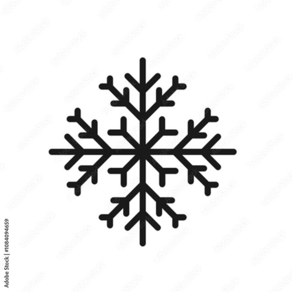 Fototapeta premium snowflake