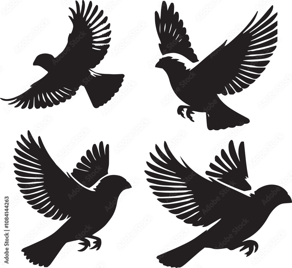 Obraz premium House finch flying poses on white background, logo design style