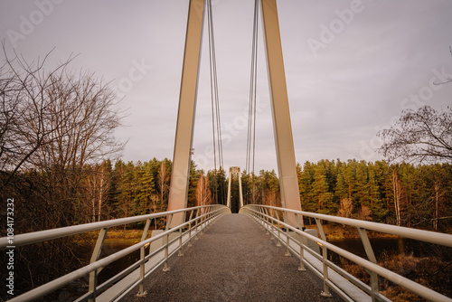 A modern suspension bridge with metal railings, surrounded by trees on an overcast day, creating a pathway into a forested landscape.. photo