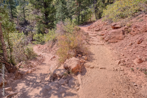 Wallpaper Mural 2nd Switchback along North Kaibab Trail at North Rim AZ Torontodigital.ca