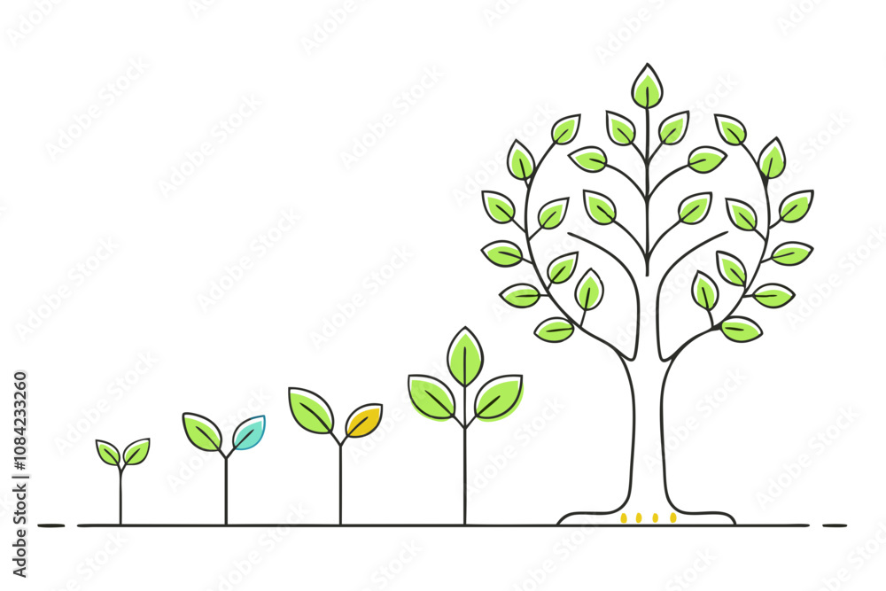 Obraz premium Journey of a Tree, Line Drawing from Birth to Growth - Vector Illustration