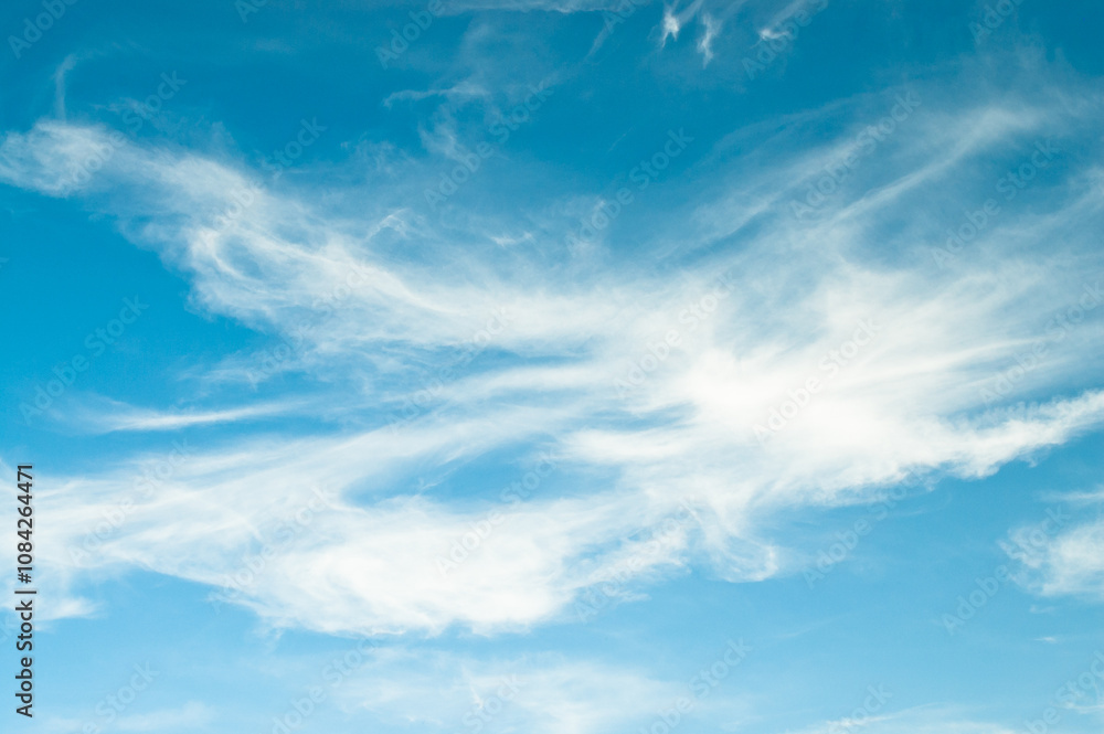 Fototapeta premium blue sky and feather clouds view from below