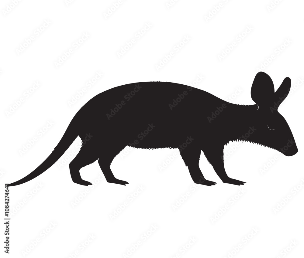 Obraz premium Silhouette of a aardvark