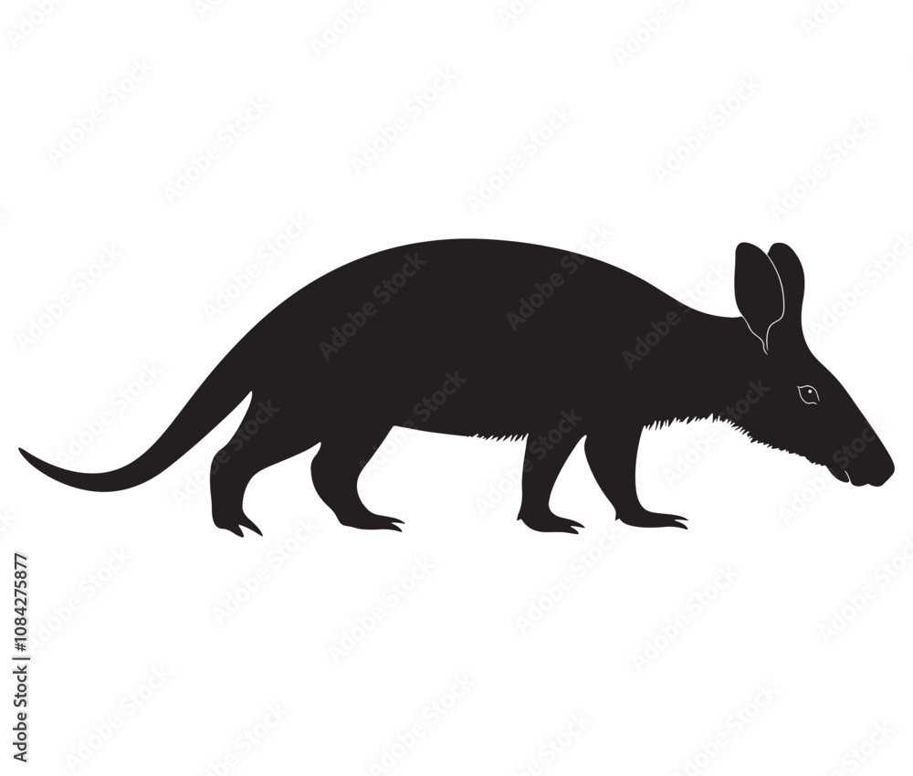 Obraz premium Silhouette of a aardvark