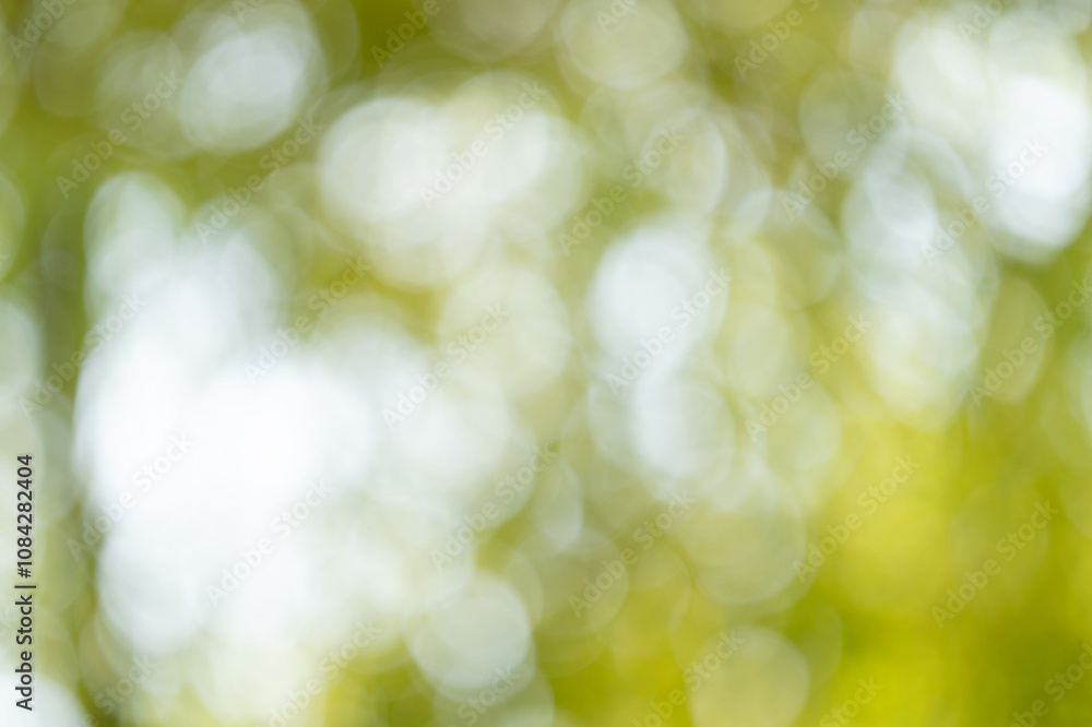 Obraz premium Nature bokeh effect outdoor setting photography blurred background close-up view abstract concept