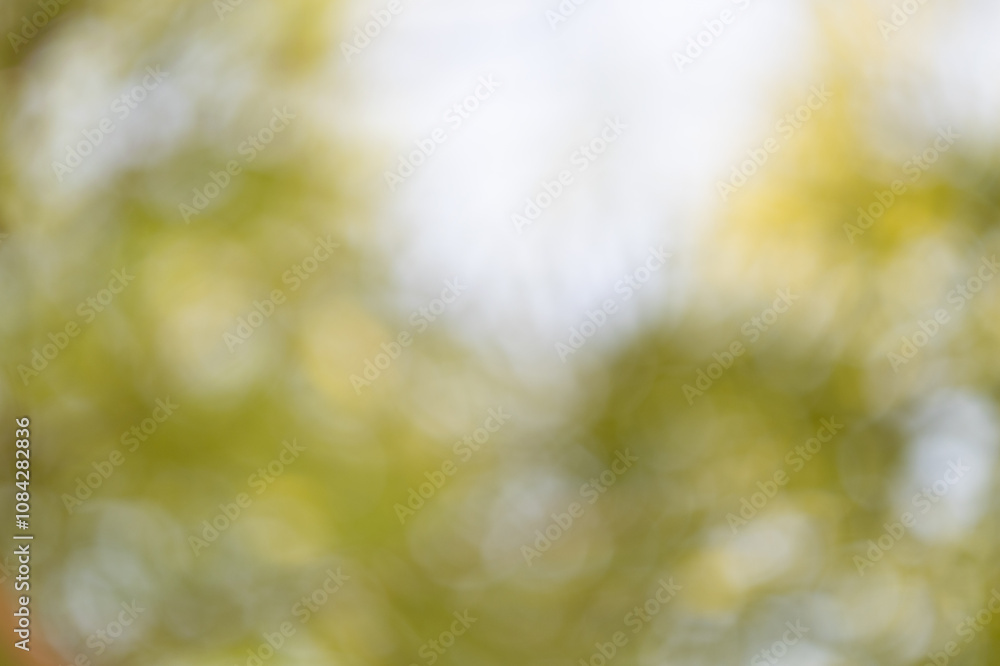 Nature scene outdoor garden abstract background soft focus close-up serenity
