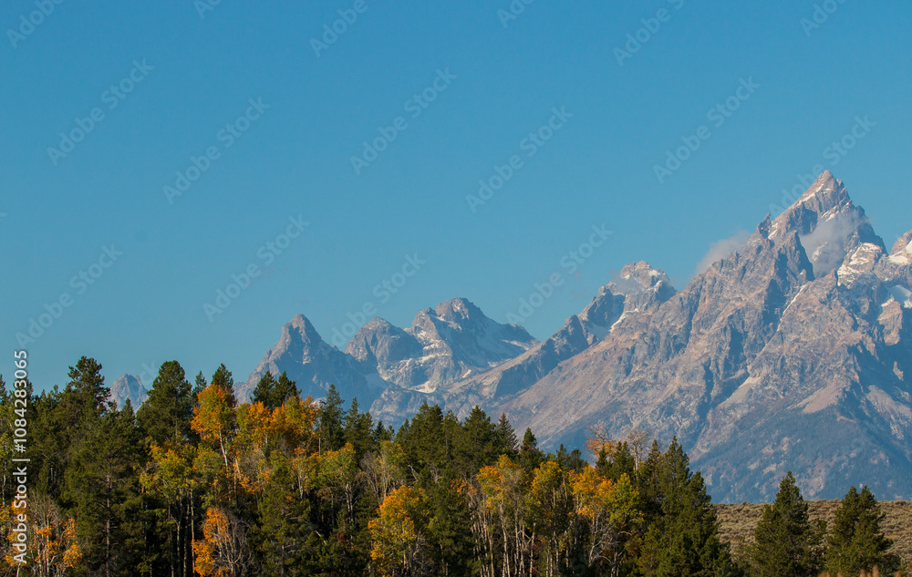 Obraz premium Scenic Landscape in Grand Teton National Park Wyoming in Autumn