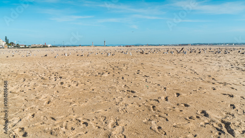 Atlantic Ocean coast in Figueira da Foz city, Coimbra District of Portugal photo