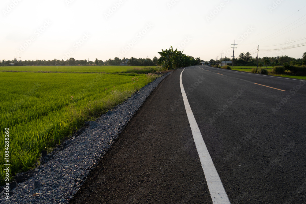 Fototapeta premium Scenic roadside journey rice fields landscape photography rural setting wide-angle view serenity and travel