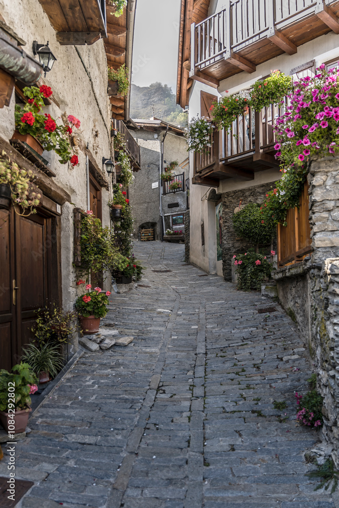uphill blossoming lane at Usseaux village, Italy