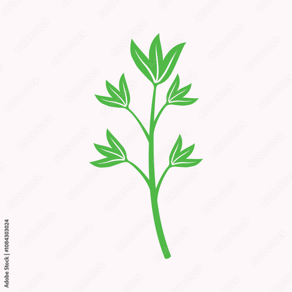 Obraz premium Green leaf nature