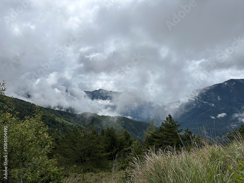 Serene Mountain Landscape with Mist and Lush Greenery