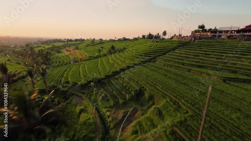 Fpv drone flight over the rice terraces in Ubud at sunrise in Bali