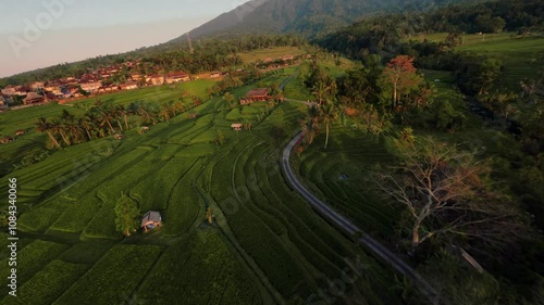 Fpv drone flight over the rice terraces in Ubud at sunrise in Bali