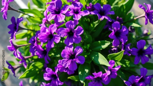 A vibrant bouquet of purple blossoms in full bloom, showcasing the delicate details of each flower's petals and the lush green foliage surrounding them