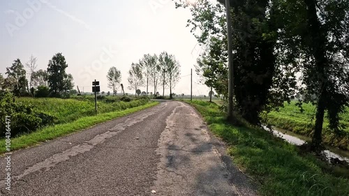 Via Francigena - a paved road through agricultural fields between Corte Sant'Andrea and Orio Litta, Province of Lodi, Lombardy, Italy photo