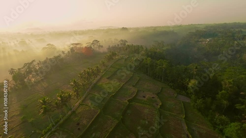 Fpv drone flight over the rice terraces in Ubud at sunrise in Bali