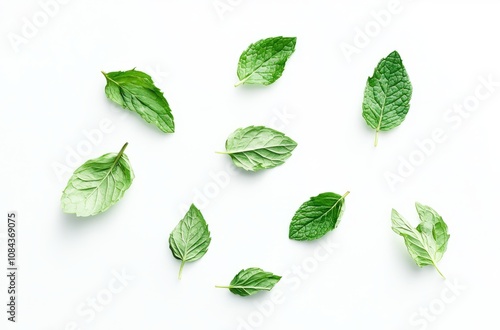 Mint leaves isolated on a white background, flat lay, studio lighting, high-resolution photography photo