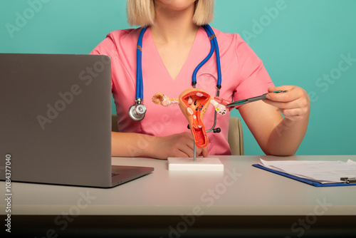 doctor gynecologist pointing model of female reproductive system on his desktop photo