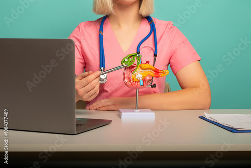 woman doctor pointing a pancreas anatomical model