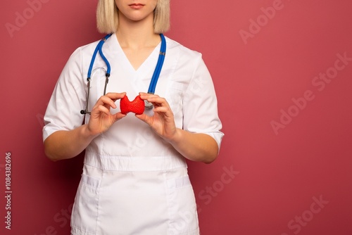 Female doctor is holding anatomical model thyroid gland. Help and care concept photo