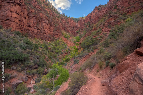 The red wall of Roaring Springs Canyon at North Rim AZ