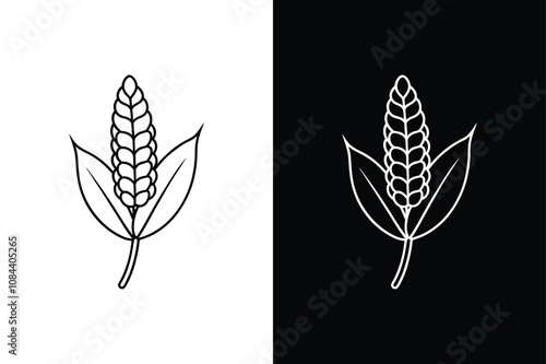 Sumac vegetable icon on White Background Vector Art Illustration on white background. photo