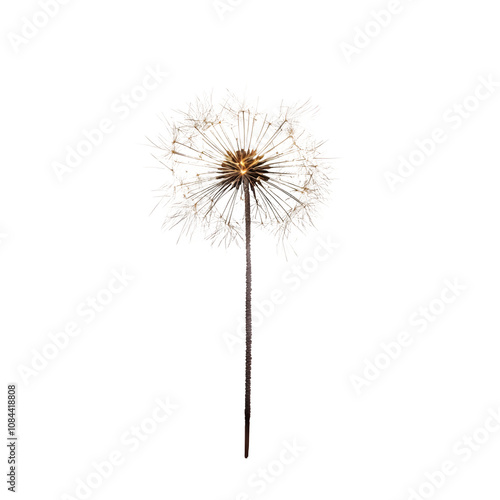 Wallpaper Mural Dandelion close-up with luminous seeds, on a clear background, ideal for artistic endeavors Torontodigital.ca