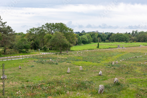 The Kermario menhir alignments of Carnac (Carnac, Morbihan, Bretagne, France) photo