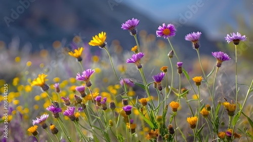 Vibrant purple and yellow wildflowers blooming under the desert sun, against a backdrop of arid landscape. --ar 169 --v 6.0 - Image #2 @liaqat photo