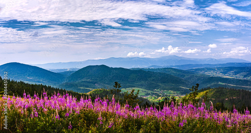 Obraz premium landscape with flowers and mountains