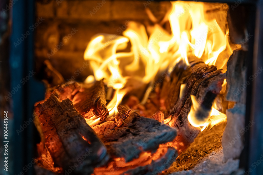 Fototapeta premium The fire burns in the stove. firewood, warmth, comfort, observation