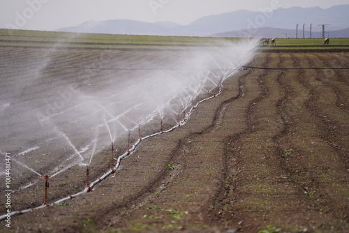 agricultural field with sprinklers