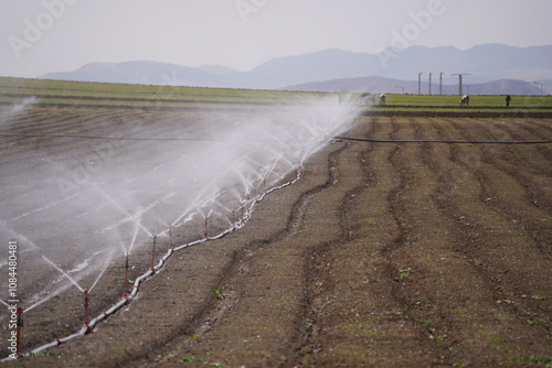 agricultural field with sprinklers