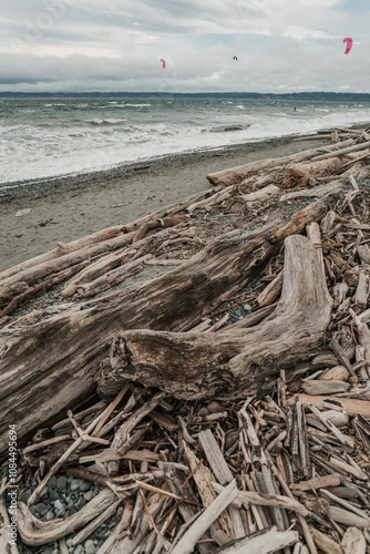 Driftwood on the beach of Discovery Park. Parasailing in the Puget Sound, Seattle, Washington.