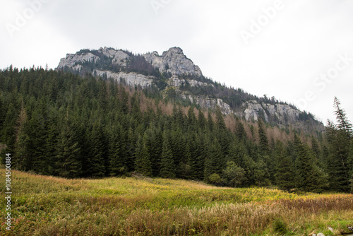 Wallpaper Mural Tatra National Park and beautiful views. Torontodigital.ca
